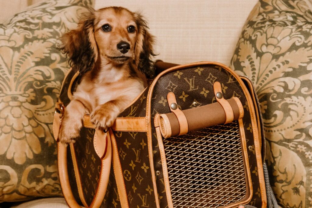 Louis Vuitton