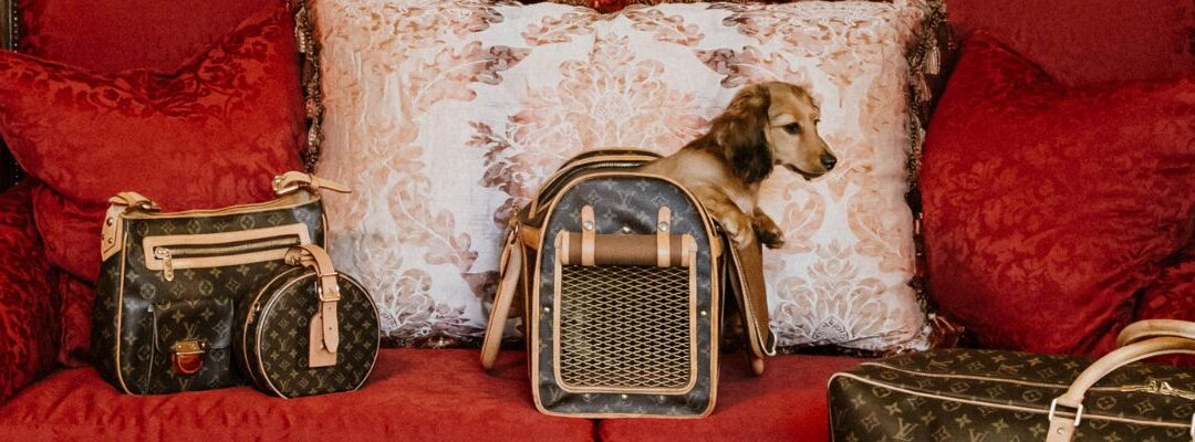 The Luxury Edit: Shop Designer Handbags and Accessories with Strauss & Co