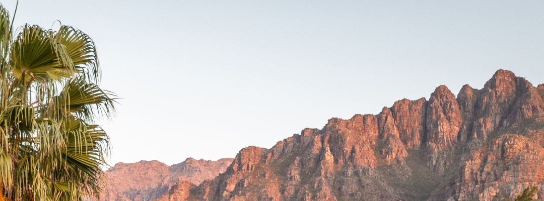 Dekkersvlei: Taste The World’s First White Pinotage On A Heritage Wine Farm, Reimagined