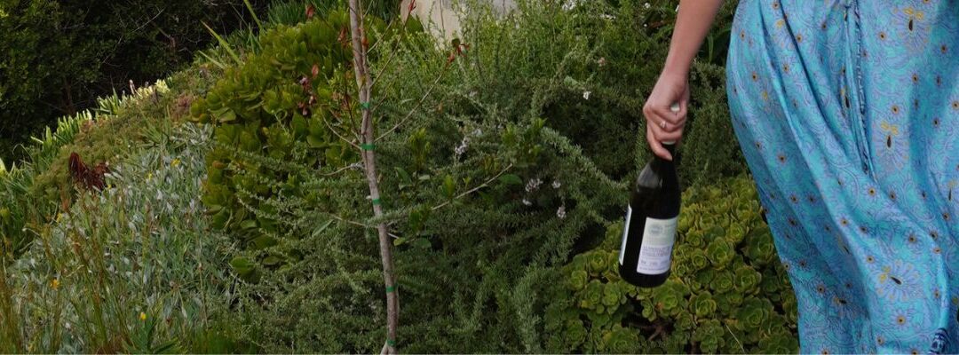 Fashion and Wine Pairings: Styling Outfits Inspired by My Favourite Wines