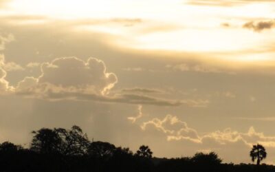 Victoria Falls: One Trip, Eight Experiences, Countless Memories