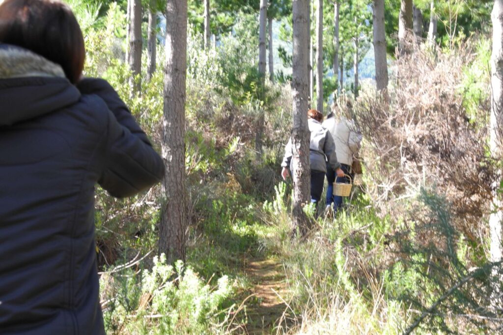 Delheim Foraging Wild Food South Africa