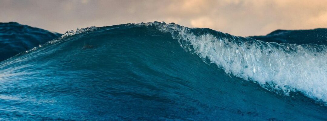 Reef Safe Sunscreens for your Next Tropical Adventure