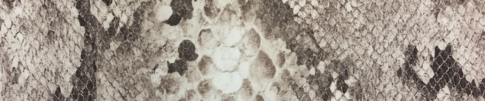 Snakeskin fashion trends 2026 Snakeskin fashion trends 2026