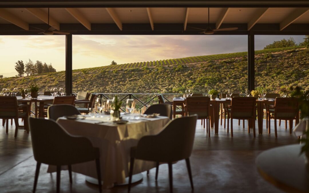Discover Brookdale Bistro with Proe Paarl