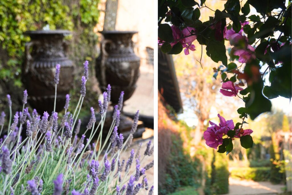 Garden venue Northcliff Johannesburg