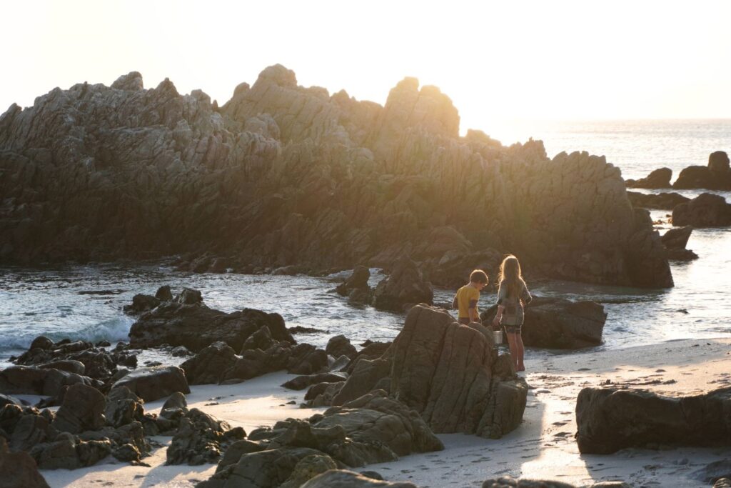 Grootbos Gansbaai