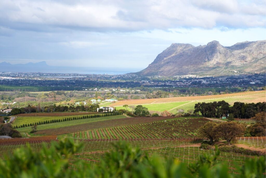 Klein Constantia wine tourism