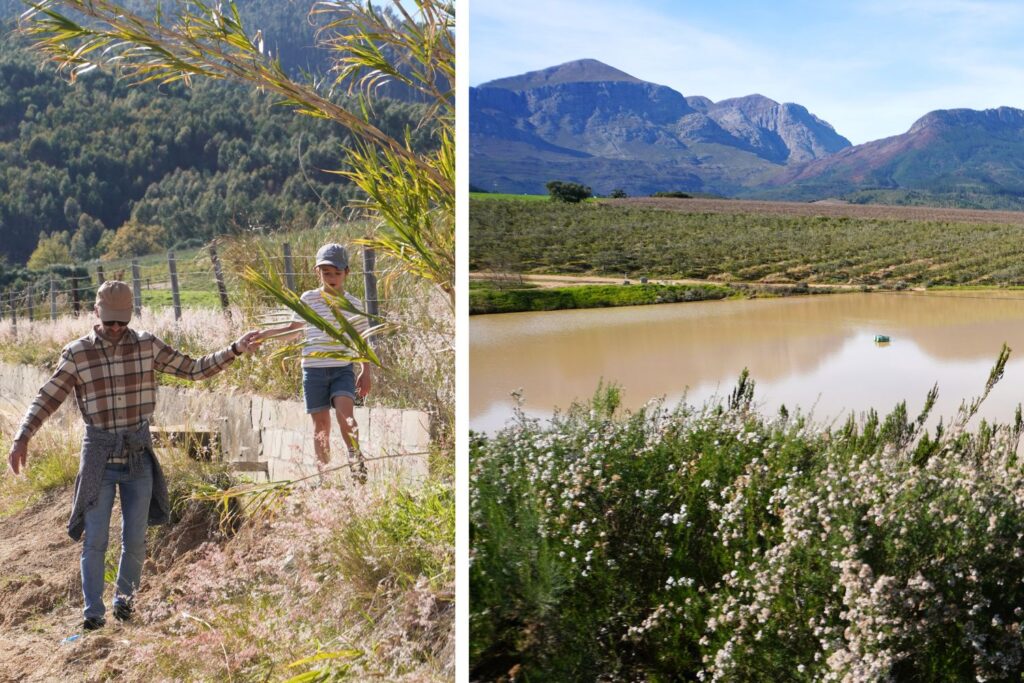 Val du Charron vineyard walks