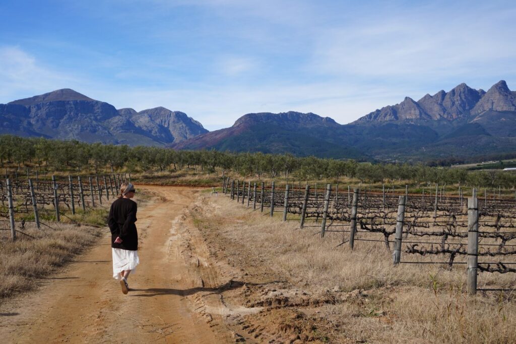 Vineyard strolls
