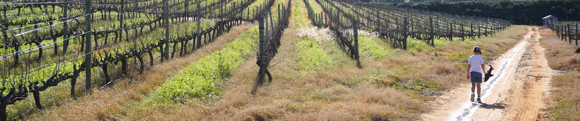 Val du Charron Wine and Leisure Estate